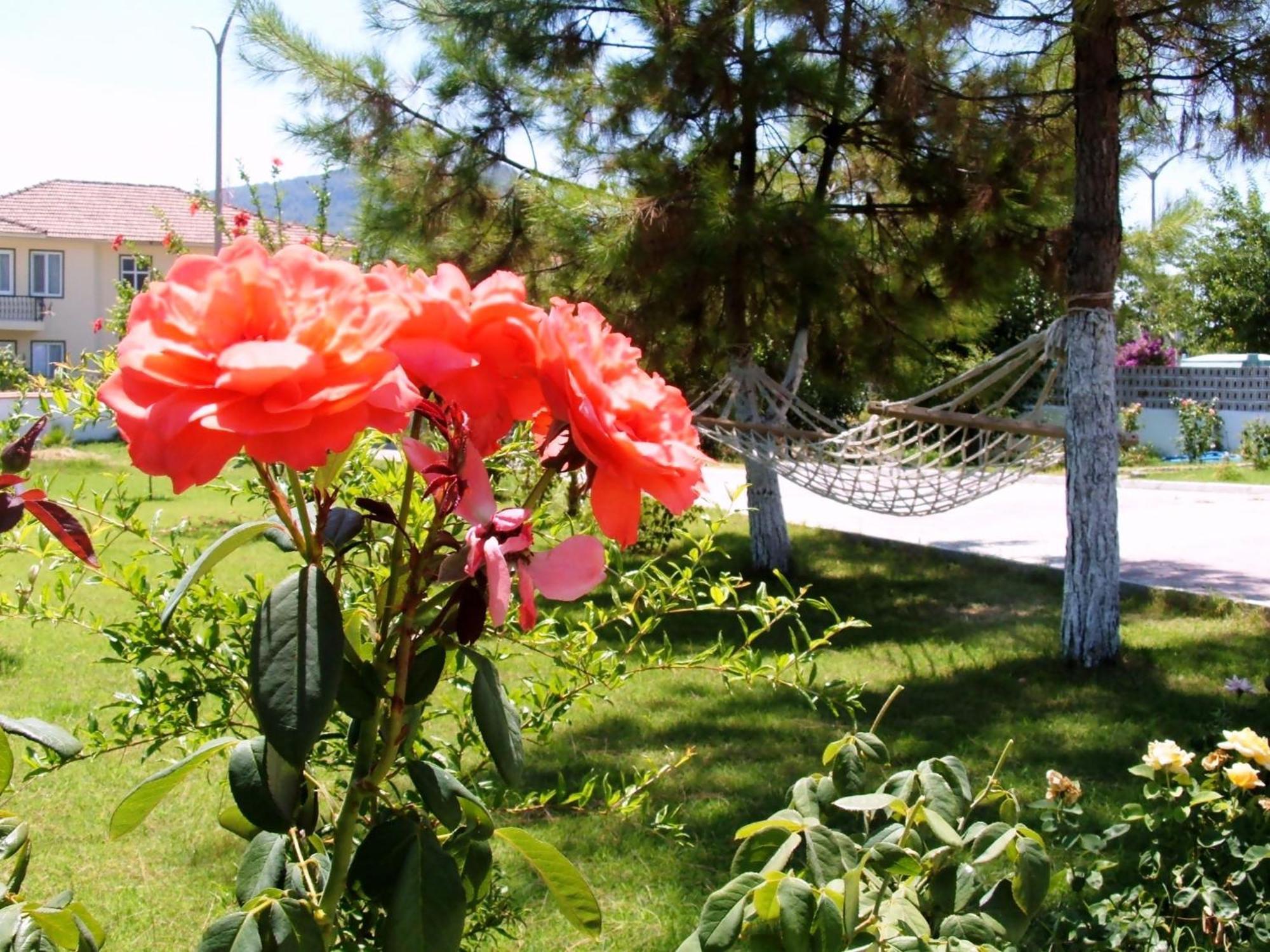 Gurkan Apart Hotel Dalyan Luaran gambar