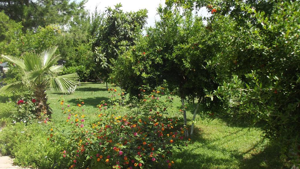 Gurkan Apart Hotel Dalyan Luaran gambar
